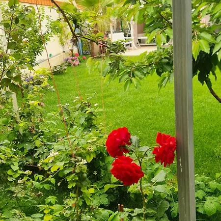 3 Chambres, Refait A Neuf, Piscine, Proche Et Gare Cagnes-sur-Mer