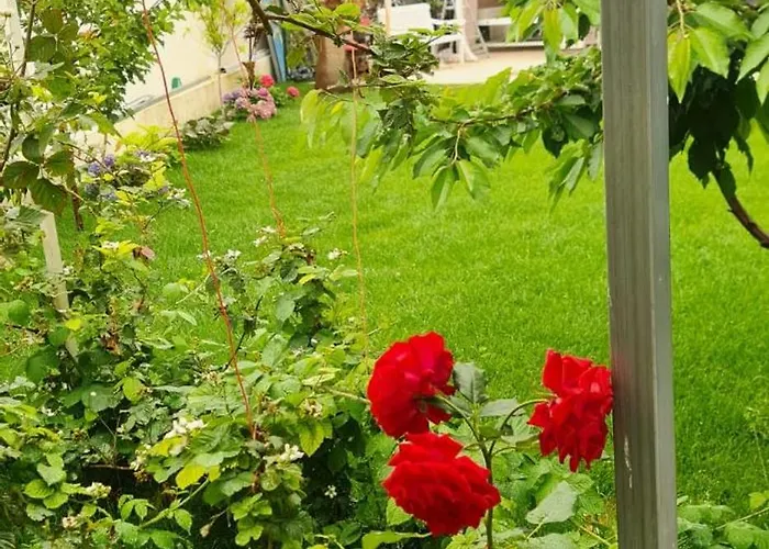 3 Chambres, Refait à Neuf, Piscine, Proche Et Gare Cagnes-sur-Mer